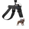 רתמה לכלב Gopro Fetch dog harness